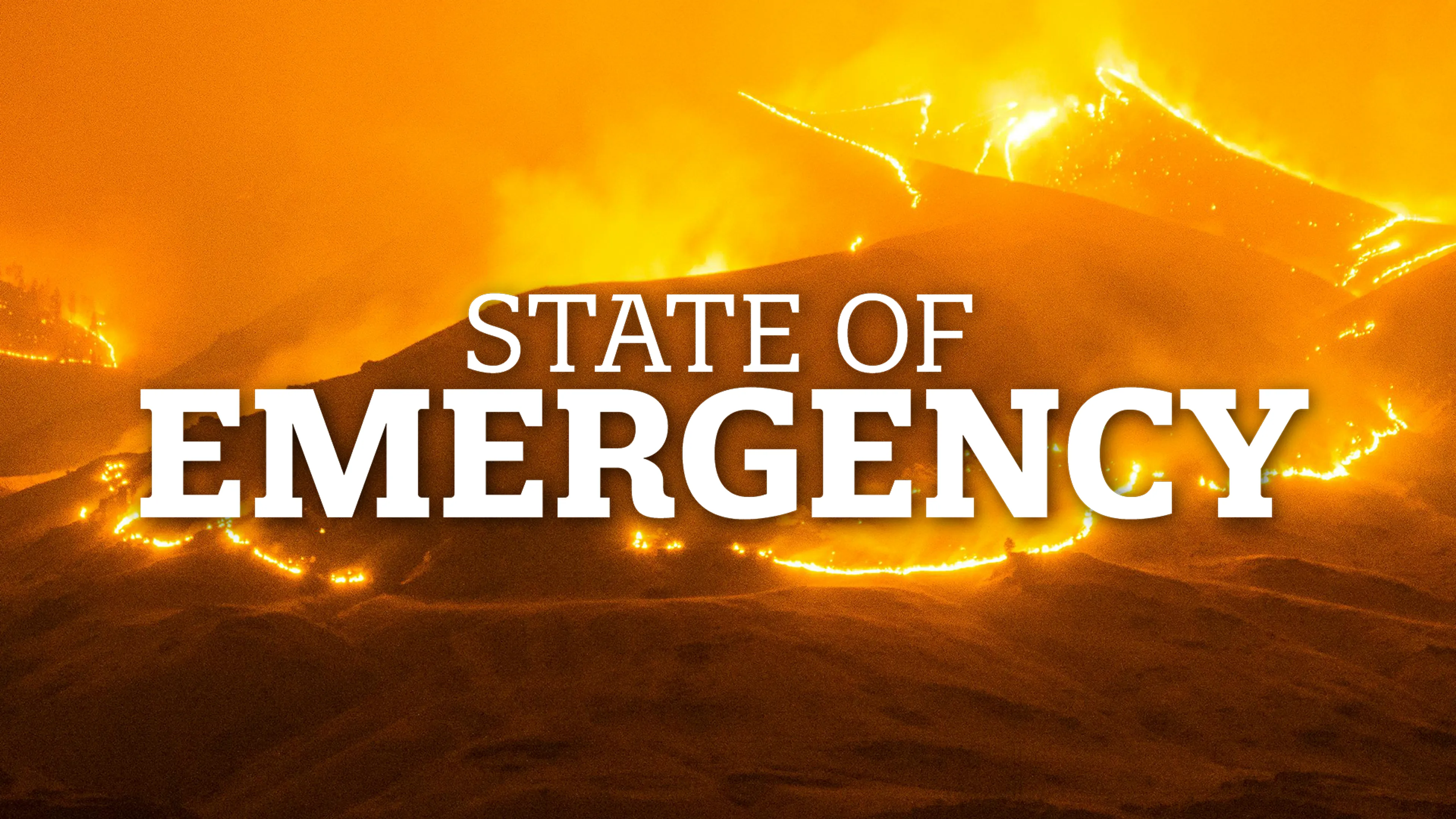 State of Emergency poster